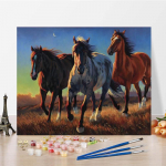 K&auml;sitsi maalitud digitaalne &otilde;limaal DIY maalimine numbrite j&auml;rgi &otilde;limaal Kodukaunistuse l&otilde;uend 40x50cm no frame