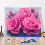 Digitaalne &otilde;limaal L&otilde;uend Kunstinumbrid &Otilde;limaal Kodukaunistus DIY Maalimine numbrite j&auml;rgi 40x50cm no frame