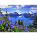 5D DIY Teemantmaal Dekoratiivne maastik T&auml;isringi puurimismaastik Teemanttikandid Ristpistekomplektid Kodukaunistuse kingitus Round 50x70cm