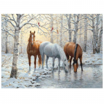 5D isetegemise teemantmaalikomplekt hoburistpiste komplekt t&auml;ispuur Teemanttikandid Loomad Mosaiik Kunst Rhinestones Decor pilt Full Round 30x40CM