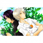 5D teemantmaal Pilt Natsume Friends Raamatumaaling Anime T&auml;ielik teemantristpistes tikand Kodukaunistus Seinakunst Full Round 20x30CM