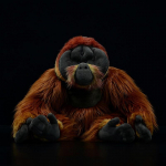 Elutruud pikakarvalised Orangutangid, topitud loomad M&auml;nguasjad Pehmed P&auml;riselu Pongo Ahvid Palusm&auml;nguasjad lastele T&auml;iskasvanutele Kingitused Orangutan