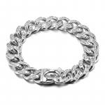 Roostevabast terasest titaanist terasest skelett 32 mm lemmiklooma kaelarihm, uus lemmiklooma kett Bully koera kaelarihm 32MM*40CM valge