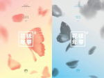 BTS 4. minialbum Elu ilusaim hetk 2. osa 2 versions SET