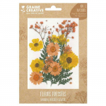 18 fleurs press&eacute;es - prairie jaune