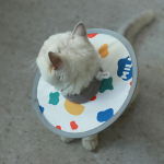 Cat Recovery Collar ,Anti Licking ,Waterproof, after Surgery Cartoon Dog Cone Pet Circle for M