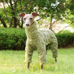 Whippet Itaalia hurt R&otilde;ivad Fliisist Pidžaamad Jope S&uuml;gis Talv Soe Pl&uuml;&uuml;sist K&otilde;rge kaelusega Jakk Lemmiklooma Koera R&otilde;ivad Moodne Kampsun S