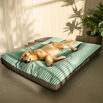 Koeravoodi pestav kennel neli hooaega lemmiklooma suur diivan pluss velvetist paks s&uuml;gava unepadjaga kutsikamatt v&auml;ikestele kuni suurtele koertele (Green,XL 78x58x7cm)