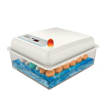 20 munaga inkubaatorikomplekt t&auml;isautomaatne kodumajapidamises kasutatav kana-hane-pardi linnumunade inkubaator AU Plug white