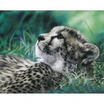 DIY Teemantmosaiik Animal Snow Leopard N&auml;put&ouml;&ouml; T&auml;is&uuml;mmargune teemantmaaling Ristpistes 20X30CM