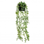 Kunstlik roheline rippuv viinapuu potitaim sise-/v&auml;ljasriiulikaunistusega koos potiga roheline
