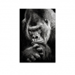 Moodne must gorilla l&otilde;uend Maalid P&otilde;hjala loomad Kunst plakatid ja tr&uuml;kised Ahvide seinapildid elutoa kodu kaunistamiseks 20x30cm
