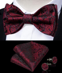 Meeste siidist kikilips, reguleeritav iseseisev kikilips Paisley lilleline Hanky ​​mansetin&ouml;&ouml;pide komplekt LH-3053