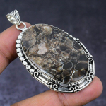 Natural Turritella Fossil Gemstone 925 Steling Silver Pendant 2.56 n2c80