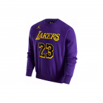 Jordan NBA Los Angeles Lakers Alphanumeric &Uuml;mmarguse kaelusega dressipluus fliisvoodriga Meeste dressipluus Lilla DR2409-508 M