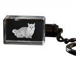 Munchkin - Crystal pendant with cat photo, illuminated pendant, unique gift by Art-Dog brand