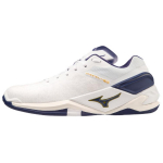 Mizuno Wave Stealth Neo Mugavad Lihtsad Libisemiskindlad Kulumiskindlad Madalad Treeningjalatsid Unisex toss Valge Plaatinium X1GA200043 43