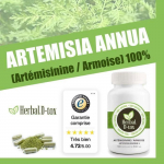 Toidulisand Herbal D-tox Artemisiniin ~ Puju (Puju Annua L) 100% Puhas, 100 kapslit x 500 mg