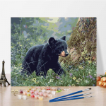 Digitaalne &otilde;limaal DIY maalimine numbrite j&auml;rgi Kunstinumbrite &otilde;limaal L&otilde;uend Kodukaunistus 40x50cm no frame