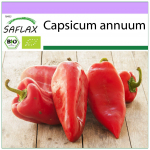 SAFLAX - Orgaaniline - Paprika - Pikk punane Marconi - 20 seemet - Capsicum annuum
