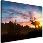 L&otilde;uendiprint Hirv p&auml;ikeseloojangul 60x40 oranž