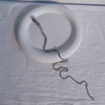 T&auml;ielik Rhinestone Snake Juuksepael juustele Naistele Pika tutiga kristallist peapael Juukseaksessuaarid Pulmaaksessuaarid Juukseehted