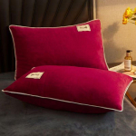 Sametist padjap&uuml;&uuml;r 2TK Flaneell Soe Voodipesu Padjap&uuml;&uuml;rid Padjap&uuml;&uuml;r Pehmed Katted Magamispadjale Kodutekstiil (ilma padjata) 48X74cm 2PCS Pillowcases