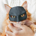 Bat- Cat - Maskbat Kassimask Kass S must