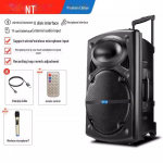 12-tolline kaasaskantav Bluetooth-karaokek&otilde;lar koos mikrofoniga a wireless microphone