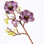 3 tk kunstlikud v&otilde;ltslilled Magnoolia lillede EVA fotograafia rekvisiidid Pulmad siseruumides v&auml;ljas kodu elutoa kaunistus &scaron;ampanjav&auml;rvi