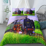 Flying Scotsman Rong Tekikate Komplekt UK &Uuml;ksik Kahekohaline Queen US Twin T&auml;iskasvanu King Suurus Voodipesu Komplekti Hulgas 140x200cm