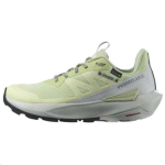 Salomon Elixir Activ GORE-TEX Celadon Green Naiste tossud Glacier-Grey Phantom L47456300 37⅓