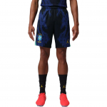 Jordan Dri-FIT 2026 Hooaeg Brasiilia V&otilde;&otilde;rsil F&auml;nniversioon Kiiresti kuivavad Spordijalgpalli p&uuml;ksid Mehed p&otilde;hjad IU1073-417 XL
