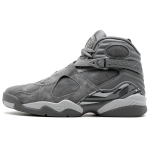 Jordan 8 Retro Cool Grey 305381-014 42 gray