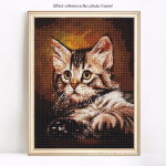 Teemanttikandid t&auml;isekraaniga loomad Teemantmosaiikkass Teemantmaaling &uuml;mmargused kivid pildid 20X30