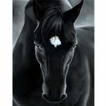 5D isetehtud teemantmaaling must hobune teemanttikandid ristpistega kodukaunistus k&auml;sitsi valmistatud kingitused Round 20x30cm