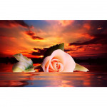 3D-teemanttikandid ristpistega &uuml;mmargused kivimaalingud p&auml;ikeseloojangu lilled Full Round 20x25CM