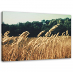 L&otilde;uenditr&uuml;kk Cornfield Spikes Nature 60x40 beež