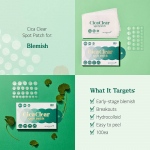 SKINFOOD Cica Clear Spot Patch 100 patch