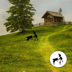 Sipelgas kujukeste kunstiaed Dekoratiivsed armsad maastikukaunistused Miniornament Lillepoti kaunistus A 25x23.5cm