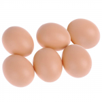 6 TK Mannequin Oeufs Faux Oeufs Aide Pondre Poule One Size