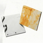 [POB] V8 (SEVENTEENI 8 JA VERNON) [V8] 1. minialbum RANDOM (NO POB)