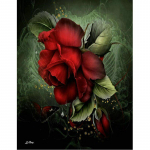 5D teemantmaal Punase roosi ja liblikaga kodukaunistus, t&auml;isringi puuritikandid 20X30CM