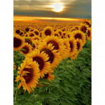 T&auml;ielik 5D Teemantmaaling P&auml;evalill P&auml;ike tikandid Ristpistes Kodukaunistus K&auml;sitsi valmistatud kingitus 25x30cm