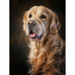 T&auml;ielik 5D-teemantmaal Kuldse retriiveri teemanttikandid t&auml;ispistes ristpistes kodukaunistus k&auml;sitsi valmistatud kingitus 20x30cm