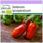 SAFLAX &ndash; Mahe &ndash; Tomat &ndash; San Marzano &ndash; 15 seemet &ndash; Solanum lycopersicum
