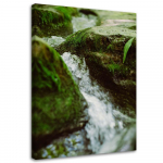 Feeby l&otilde;uenditr&uuml;kk, Rushing river 40x60 roheline