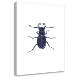 L&otilde;uenditr&uuml;kk Insect Black kukeseen 40x60 must/valge