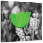 L&otilde;uenditr&uuml;kk Tulbid Flower 30x30 roheline