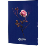 Album SOOJIN - [AGASSY] 1. EP Blue